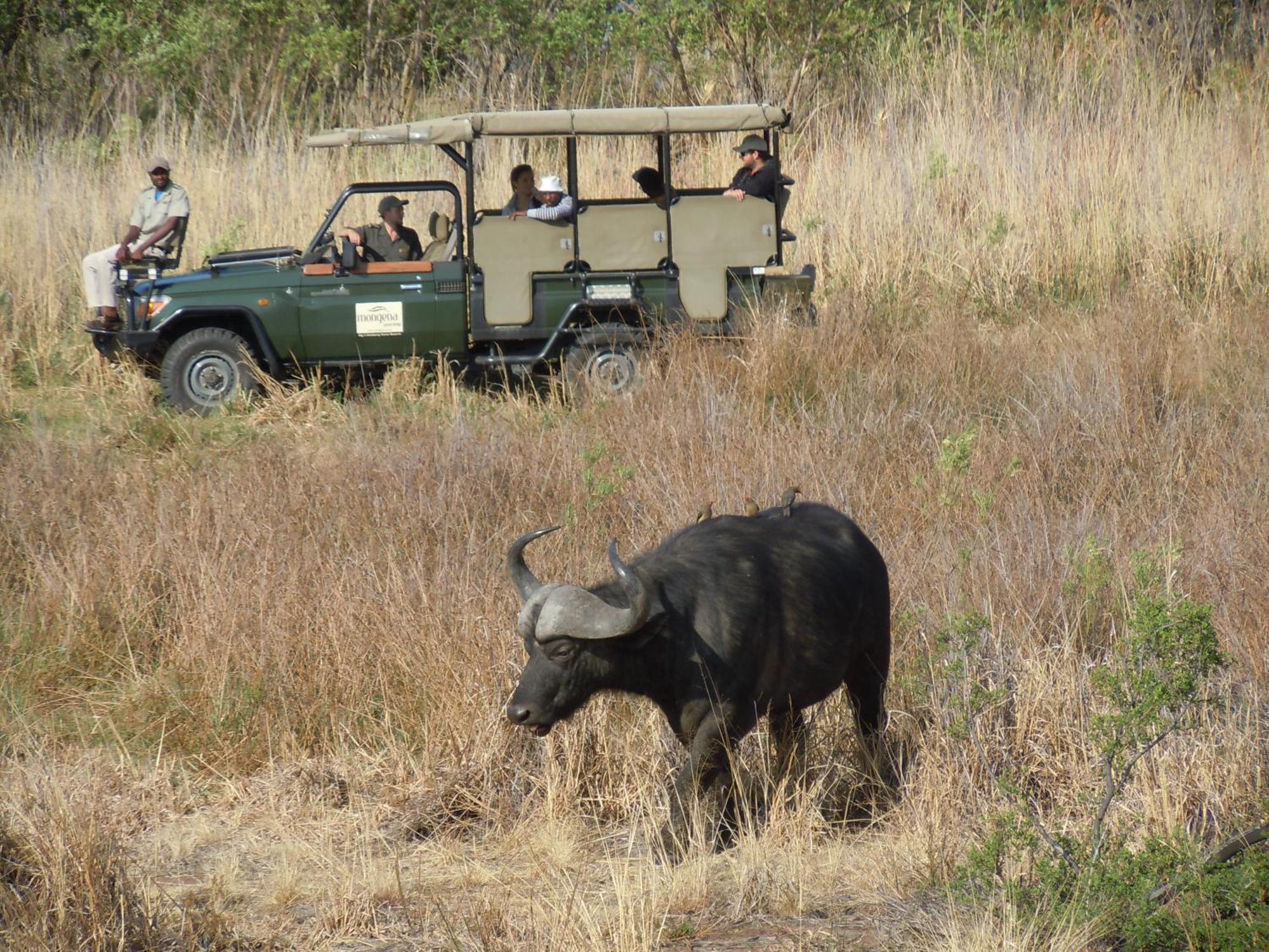 Little Mongena Tented Camp Klipdrift 외부 사진